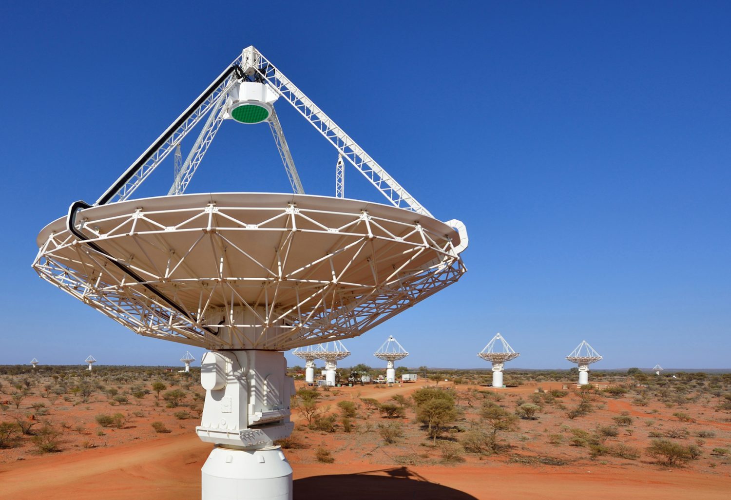 The antennas of CSIRO's ASKAP telescope at the Murchison Radio-astronomy Observatory in Western Australia. Credit: CSIRO The antennas of CSIRO's ASKAP telescope at the Murchison Radio-astronomy Observatory in Western Australia. Credit: CSIRO