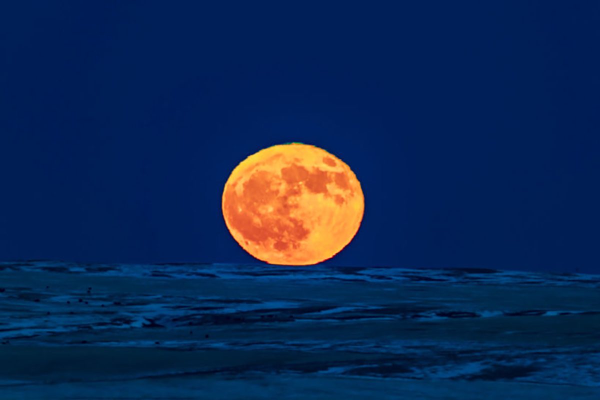 Full Moon low on the horizon, Moon illusion. Credit: VW Pics / Getty Images