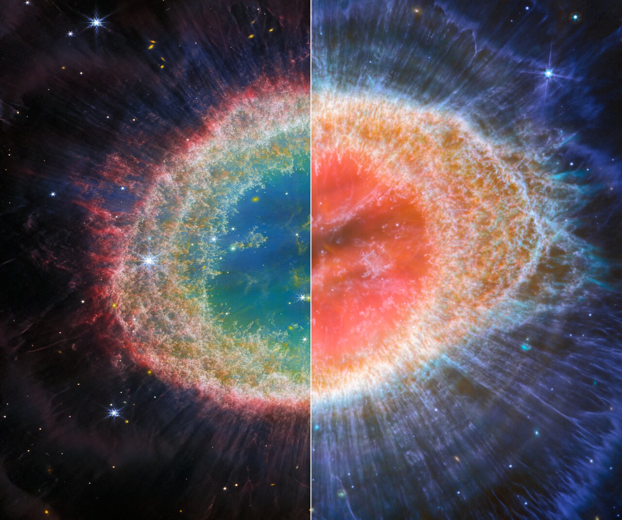 A split view of the Ring Nebula captured by the James Webb Space Telescope. The image on the left shows Webb’s NIRCam view and the image on the right shows Webb’s MIRI image. Credit: ESA/Webb, NASA, CSA, M. Barlow, N. Cox, R. Wesson