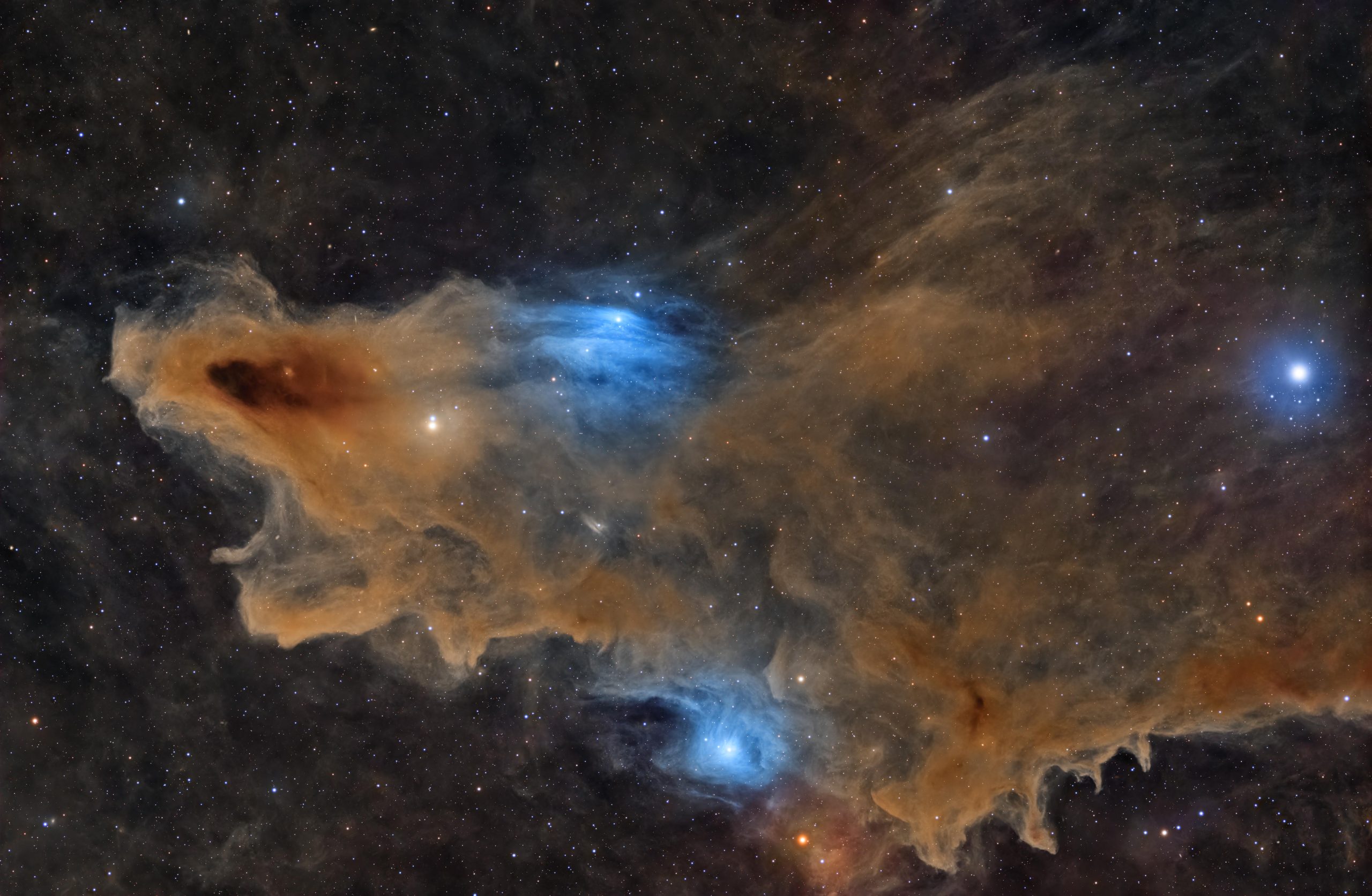 The Quiet Predator Ali Alobaidly, Kuwait Winner, Stars and Nebulae (overall winner)