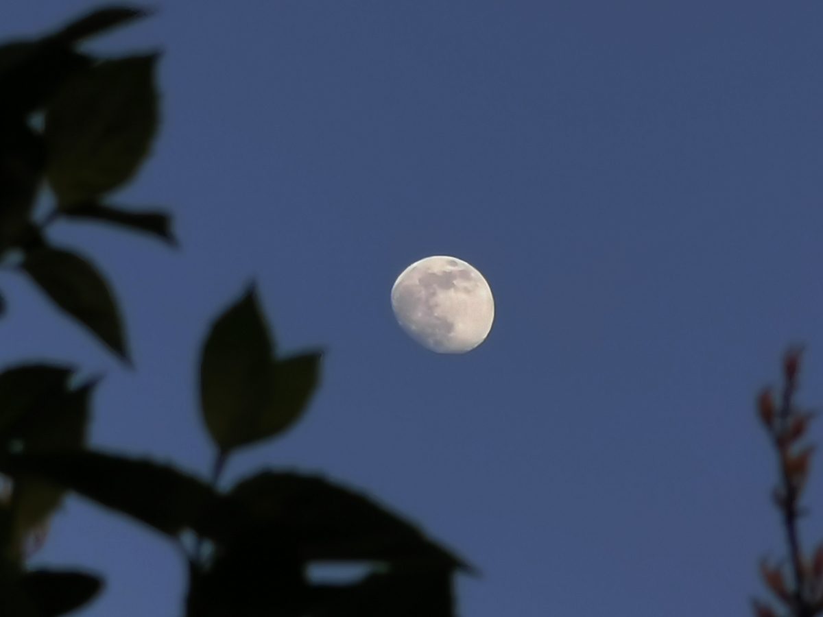 photo moon with smartphone 03
