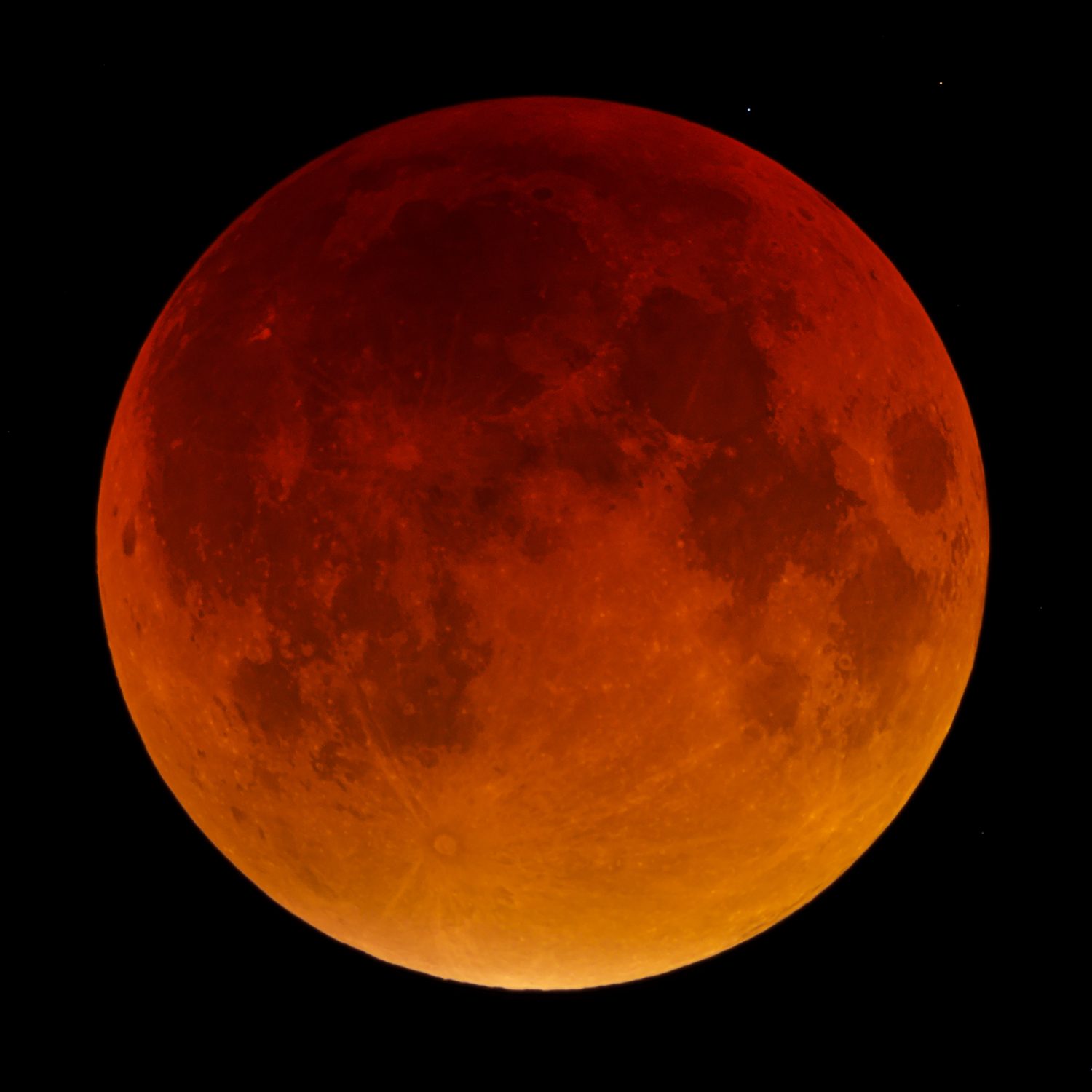 Lunar eclipse by Tom Howard, Crawley, Sussex, UK, 28 September 2015. Equipment: Nikon D7000 DSLR. Meade 5000 127mm refractor. Skywatcher AZ-EQ6 mount.