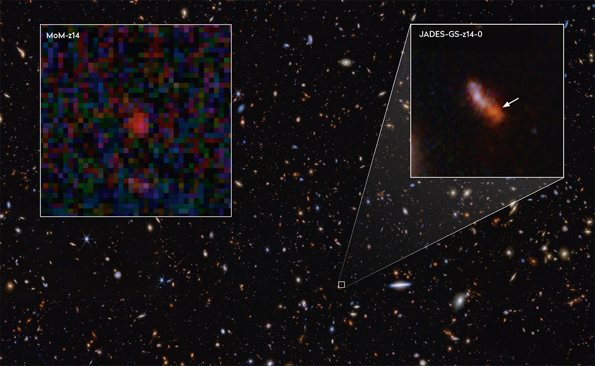 At a redshift of z = 14.44, MoM-z14 usurps the former record holder JADES-GS-z14-0. Credit: Rohan P. Naidu et al (2025)/NASA/JWST, NASA/ESA/CSA/STScI/Brant Robertson (UC Santa Cruz) Ben Johnson (CfA) Sandro Tacchella (Cambridge) Phill Cargile (CfA)