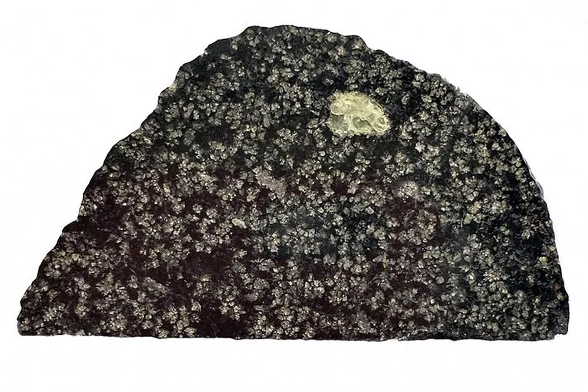 A slice of the rare angrite meteorite NWA 12774. Credit: John Kashuba