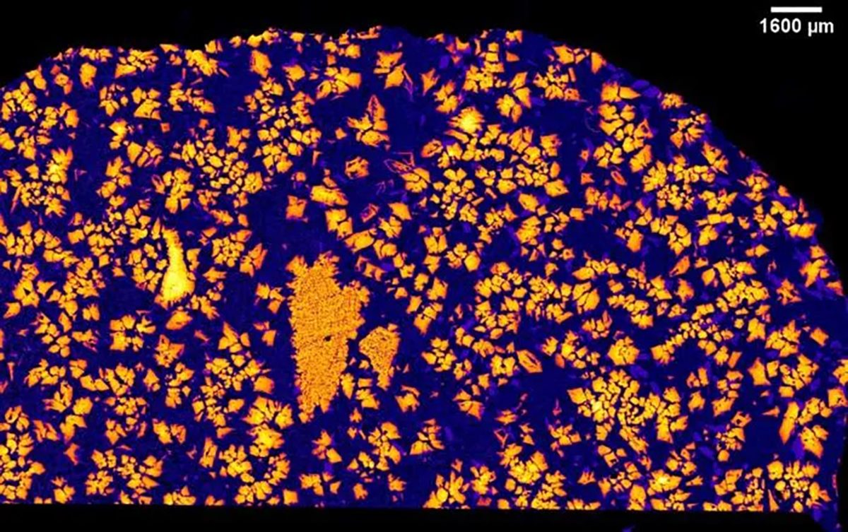 An X-ray image of rare meteorite NWA 12774. Credit: Aaron Bell / CU Boulder