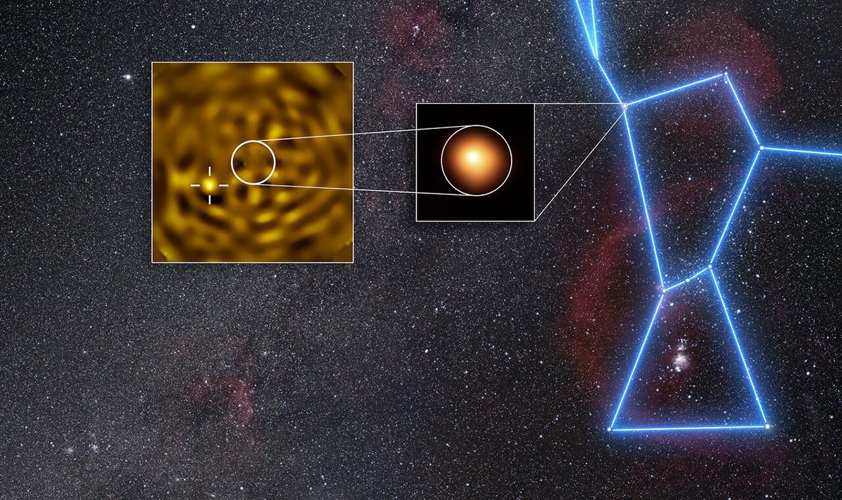Image showing the location of Betelgeuse in Orion and the suspected companion star Betelgeuse B. Credit: ESO/M. Montargès et al. Background: N. Rissinger (skysurvey.org)