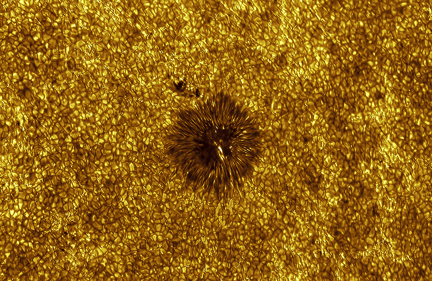 Active Region 4122 Miguel Claro, Portugal Winner, Our Sun