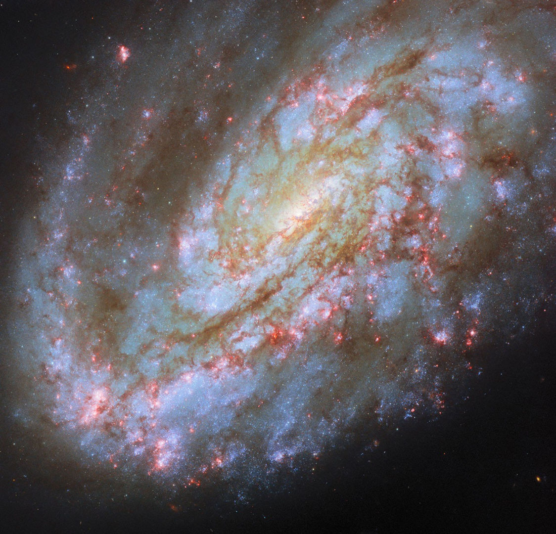 Spiral galaxy NGC 4654 Hubble Space Telescope, 24 July 2026 Credit: NASA, ESA/Hubble, D. Thilker, J. Lee, and the PHANGS-HST Team