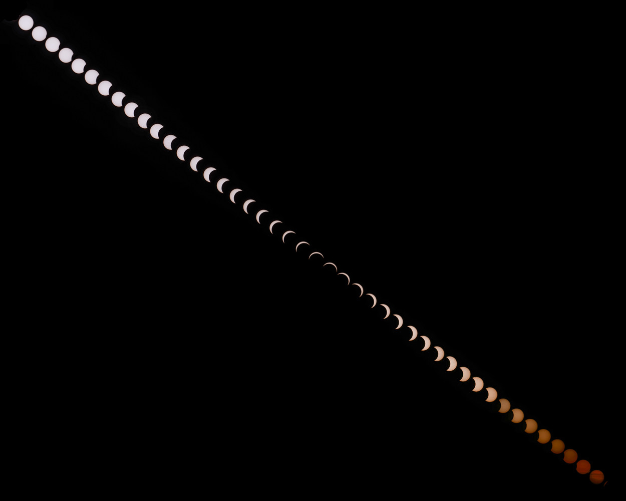 John Walwyn, Melton Mowbray, Leicestershire, UK, 12 August 2026 Equipment: Canon EOS R6 II camera, Centon 500mm lens, Manfrotto tripod