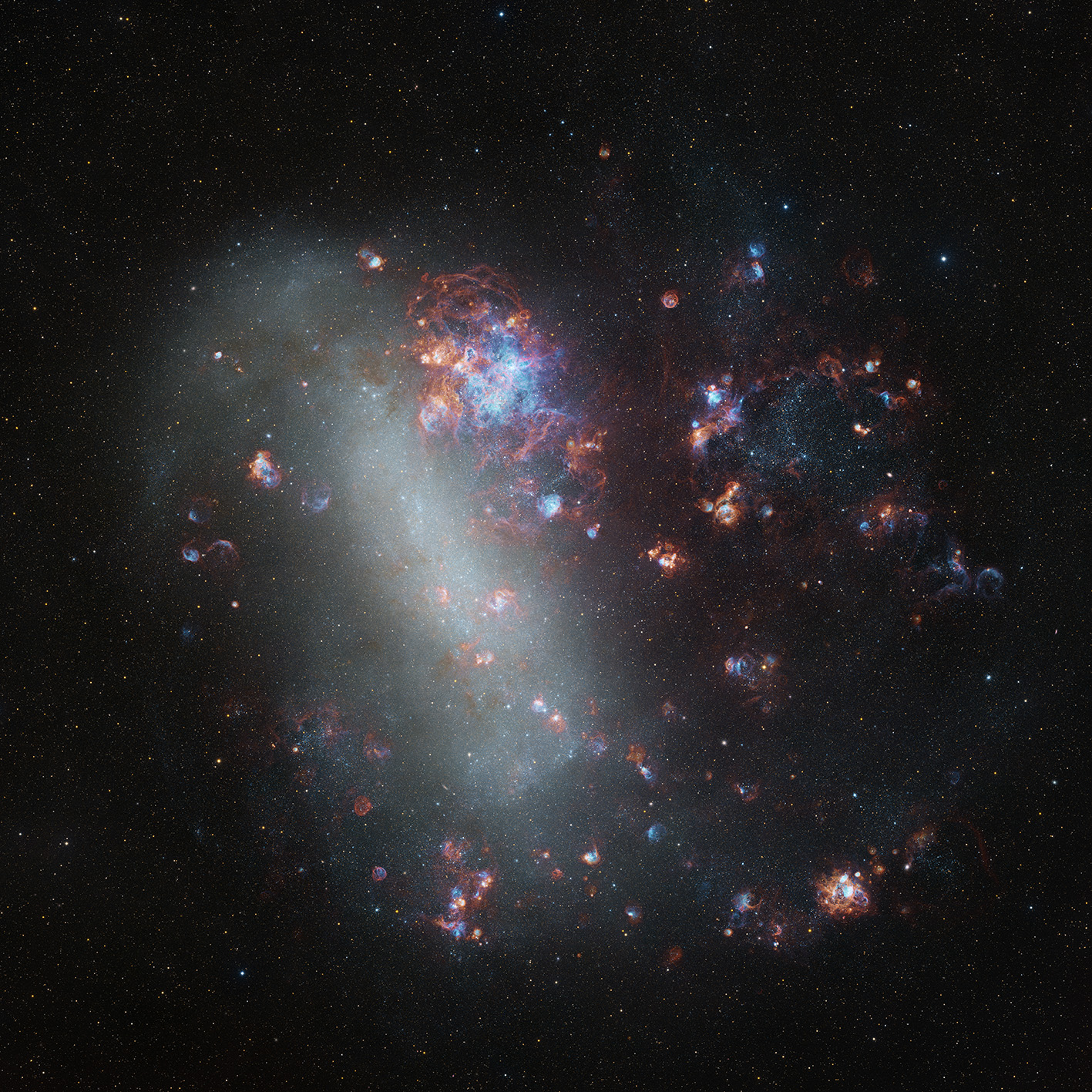 Wildflowers Across a Neighbouring Galaxy: The Large Magellanic Cloud Shaoyu Zhang, China Highly commended, Galaxies