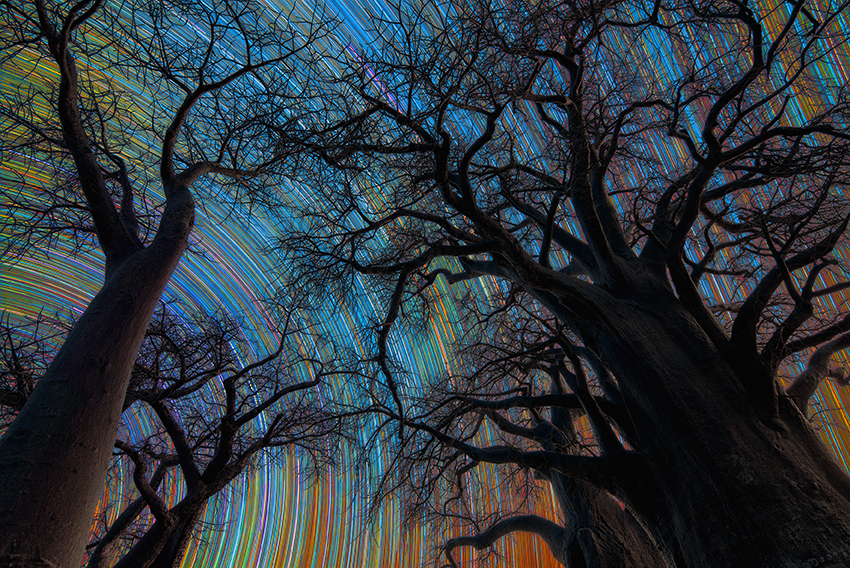 Botswana Star Trail Stefano Pellegrini, Italy Winner, Skyscapes