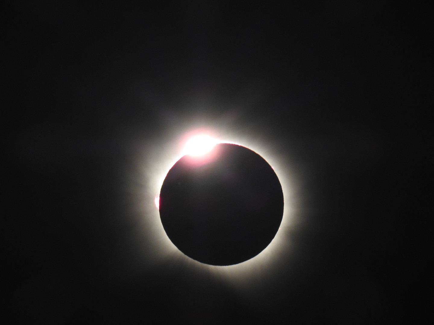 Andrew Paterson, Vitoria-Gasteiz, Alava, Spain, 12 August 2026 Equipment: Nikon Coolpix P900 camera, fixed lens, Cobra Eclipse 53 tripod