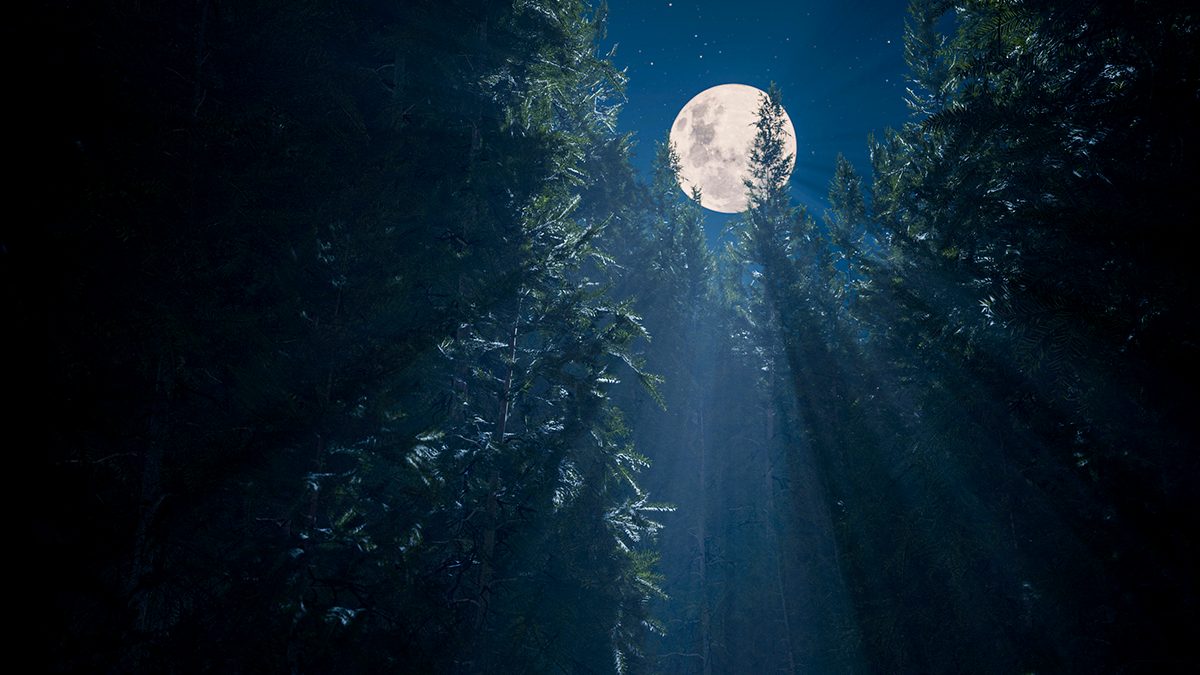 The glare of a bright full Moon is a meteor shower's worst enemy. Credit: Ignatiev / Getty Images