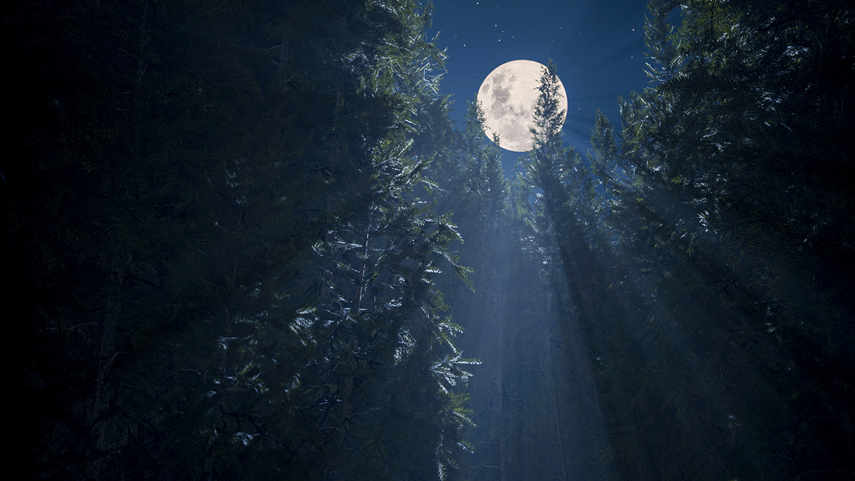 The glare of a bright full Moon is a meteor shower's worst enemy. Credit: Ignatiev / Getty Images