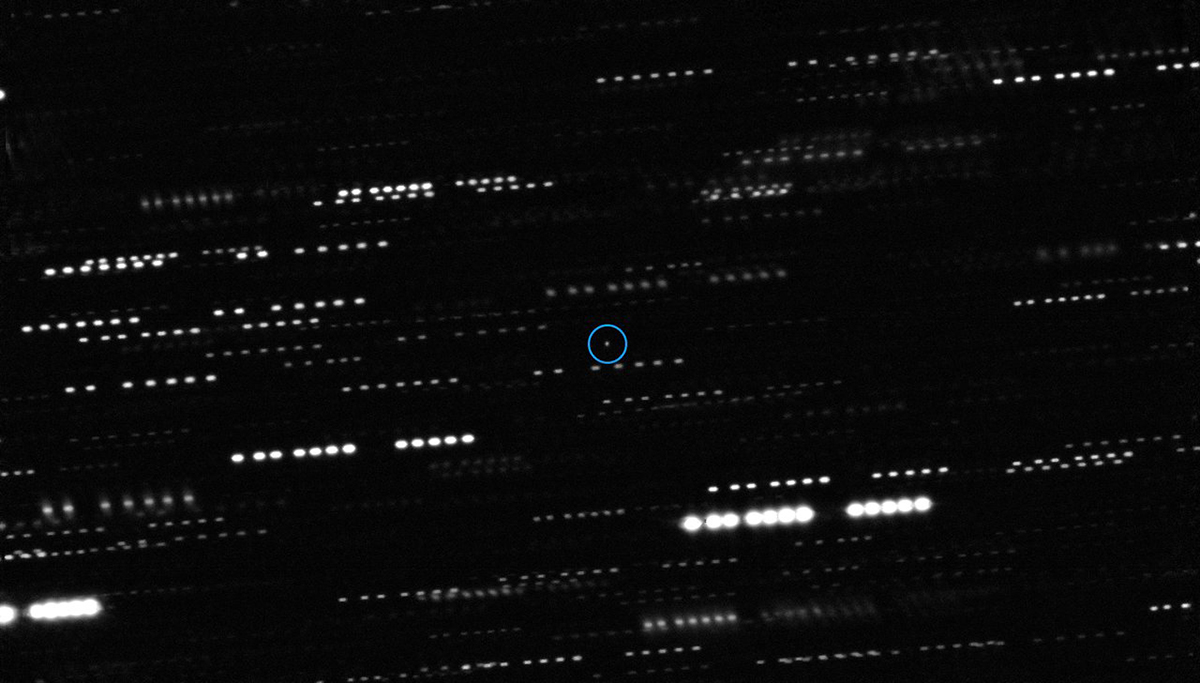 A deep image of interstellar asteroid ‘Oumuamua. Background stars appear as streaks because the camera captured ‘Oumuamua moving across the sky using a long exposure. Credit: ESO/K. Meech et al.