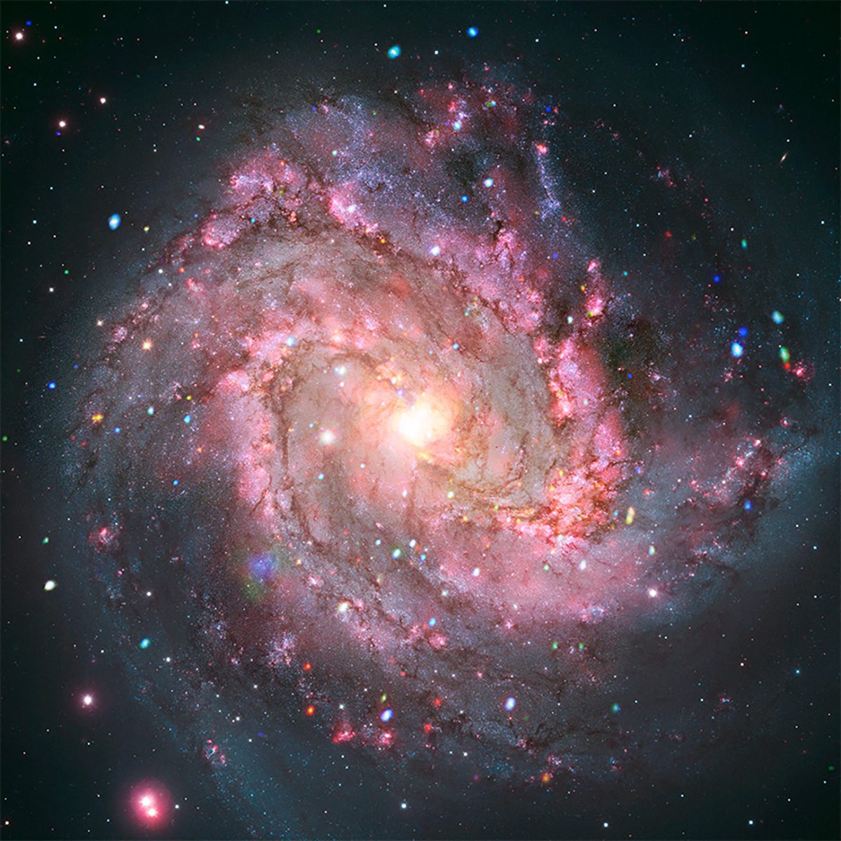 Image of galaxy M83 captured by the Hubble Space Telescope and Chandra X-ray Observatory. Credit: X-ray: NASA/CXC/SAO; Optical: NASA/ESA/AURA/STScI, Hubble Heritage Team, W. Blair (STScI/Johns Hopkins University) and R. O'Connell (University of Virginia); Image Processing: NASA/CXC/SAO/A. Jubett, L. Frattare and P. Edmonds