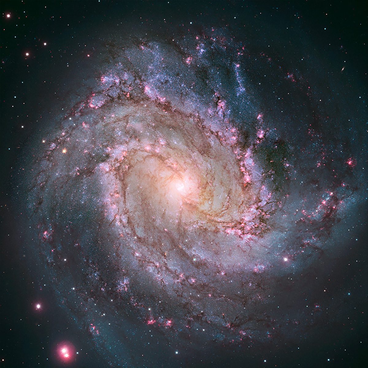 Image of galaxy M83 captured by the Hubble Space Telescope. Credit: NASA/ESA/AURA/STScI, Hubble Heritage Team, W. Blair (STScI/Johns Hopkins University) and R. O'Connell (University of Virginia); Image Processing: NASA/CXC/SAO/A. Jubett, L. Frattare and P. Edmonds