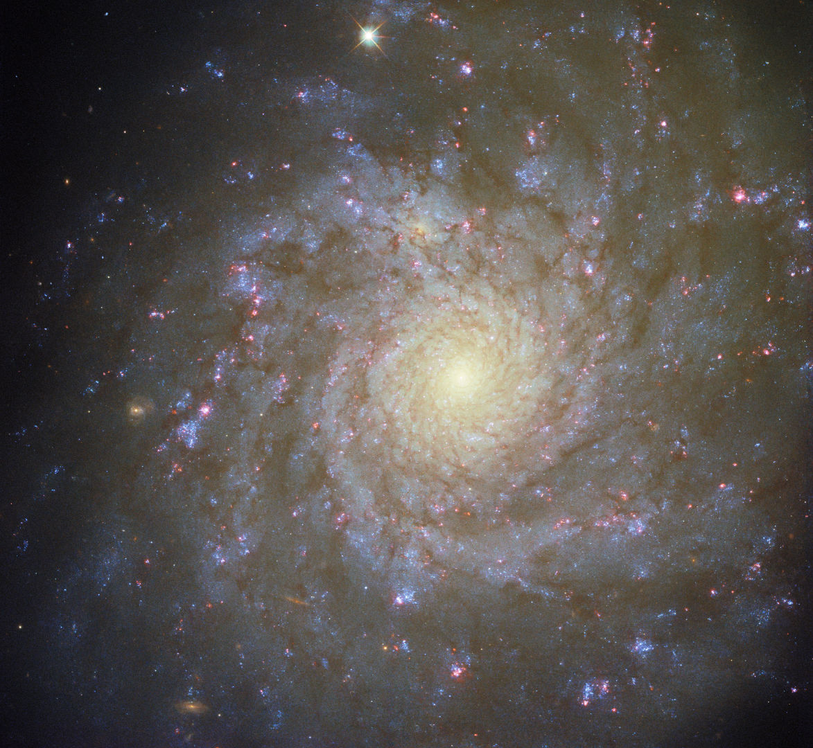Spinning galaxies should tear themselves apart. But they don't, so there must be some extra gravitational glue we can't see. Credit: ESA/Hubble & NASA, F. Belfiore, J. Lee and the PHANGS-HST Team