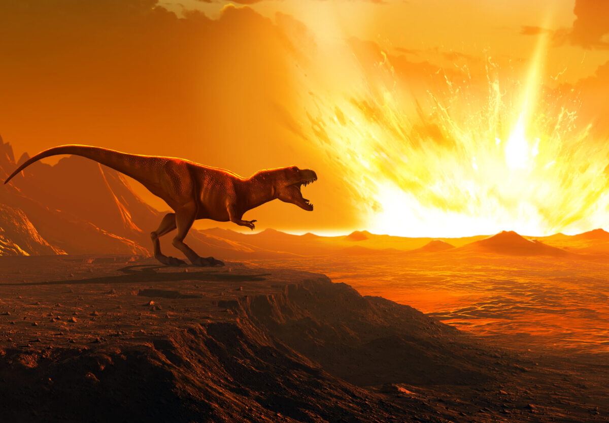 It’s widely accepted that a huge asteroid strike probably killed the dinosaurs. But could gravity be the real culprit? Credit: Mark Garlick / Science Photo Library