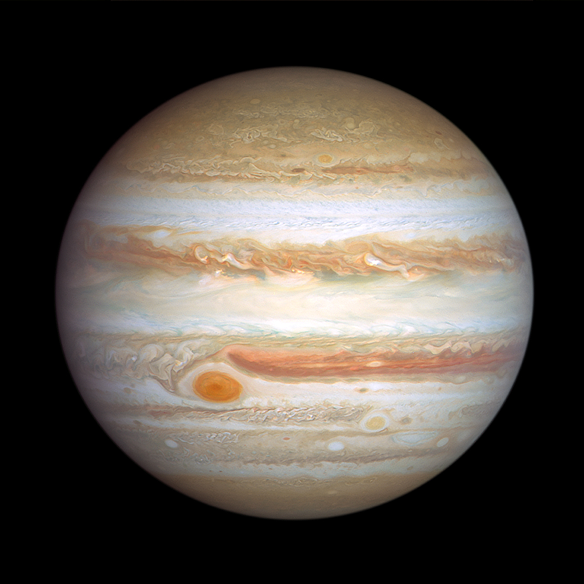 Jupiter, protector of the inner Solar System. Credit: NASA, ESA, STScI, Amy Simon (NASA-GSFC)
