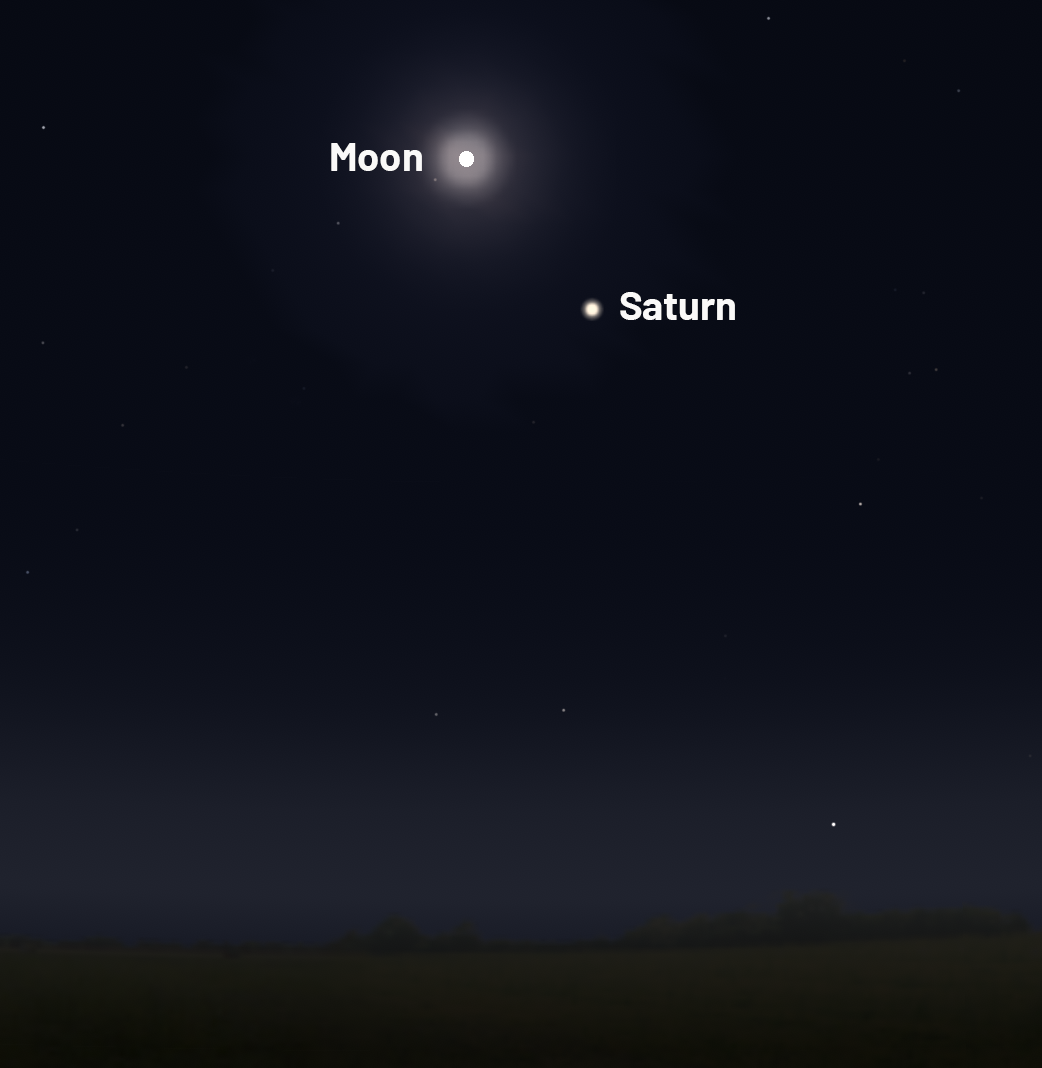 The Hunter’s Moon is located near Saturn on 24 October 2026. Credit: Stellarium