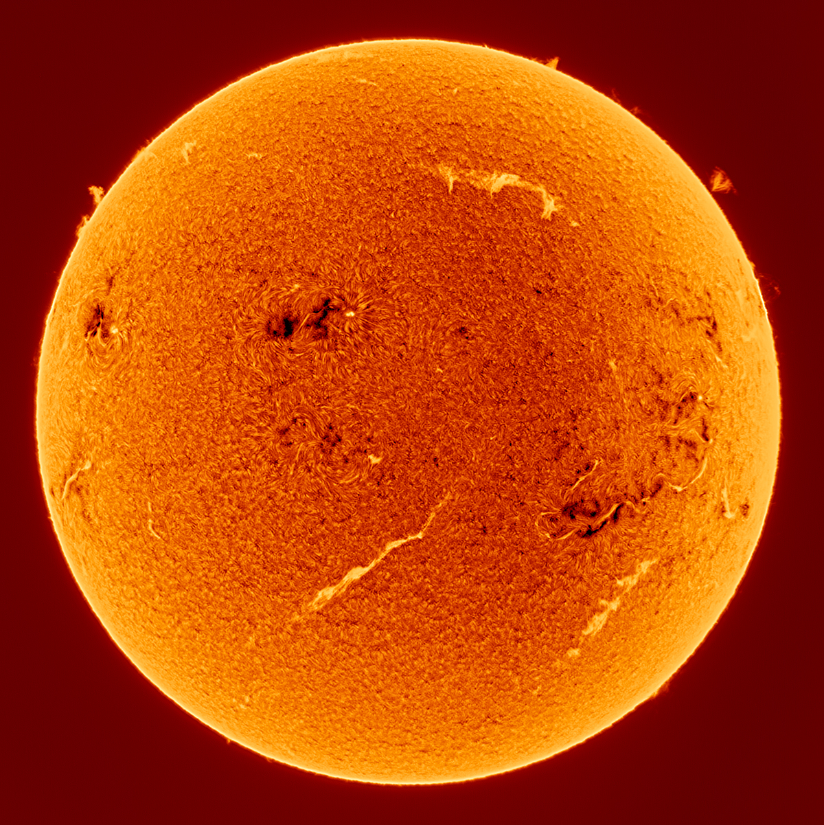 Dancing Flames © 与晨 林, aged 14 (China), ZWO Young Astronomer. Taken with an Acuter Elite Phoenix 40 H-Alpha solar telescope, ZWO AM5 mount, ToupTek G3M678M camera, 400 mm f/10, 1,000 x 10-millisecond exposures. Location: Xiamen, Fujian Province, China, 11 February 2026