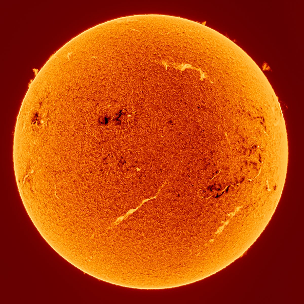 Dancing Flames © 与晨 林, aged 14 (China), ZWO Young Astronomer. Taken with an Acuter Elite Phoenix 40 H-Alpha solar telescope, ZWO AM5 mount, ToupTek G3M678M camera, 400 mm f/10, 1,000 x 10-millisecond exposures. Location: Xiamen, Fujian Province, China, 11 February 2026