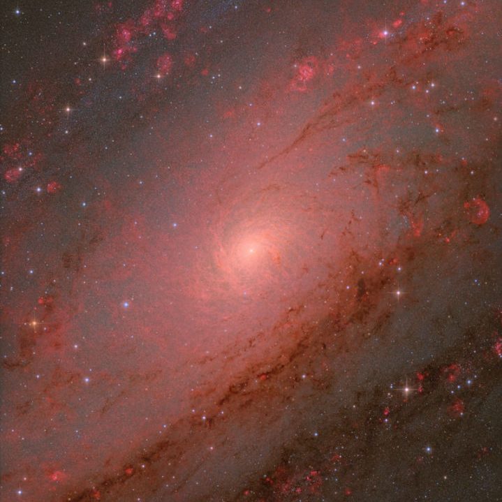 The Andromeda Core © Weitang Liang, Qi Yang, Chuhong Yu (China). Winner, Galaxies and overall winner. Equipment: PlaneWave Instruments CDK20 telescope, Baader LRGB and Chroma H-alpha filters, PlaneWave Instruments L500 mount, Moravian Instruments C3-61000 Pro camera. Location: AstroCamp Observatory, Nerpio, Spain, 31 July, 2, 4–6, 14, 17, 20, 29, 31 August and 1 September 2024