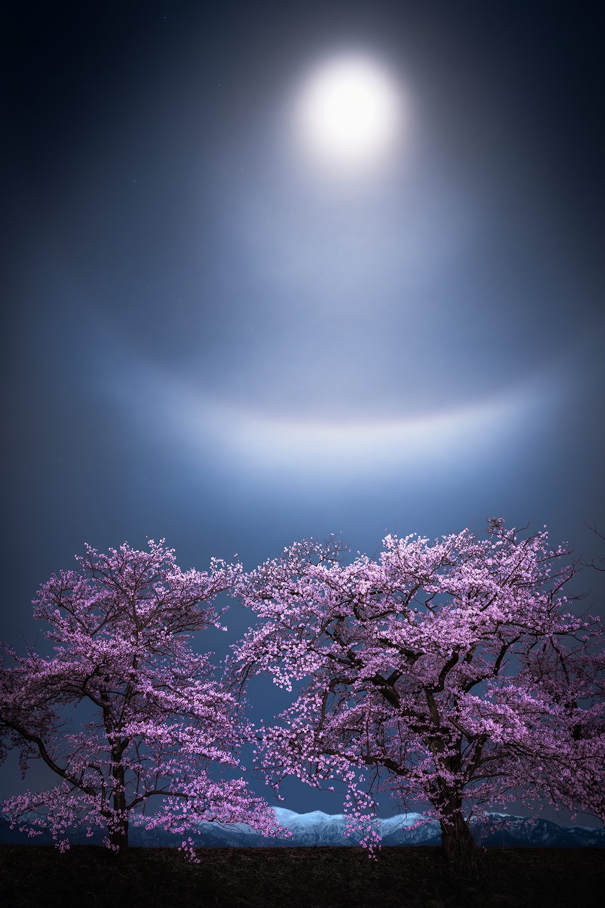 Setsu-getsu-ka © Takanobu Kurosaki (Japan), Skyscapes category. Taken with a Sony ILCE-7RM5 camera, Sony FE 24–105 mm f/4 G OSS lens, 29 mm f/4, ISO 800, 6-second exposure. Location: Asahi, Toyama Prefecture, Japan, 9 April 2025