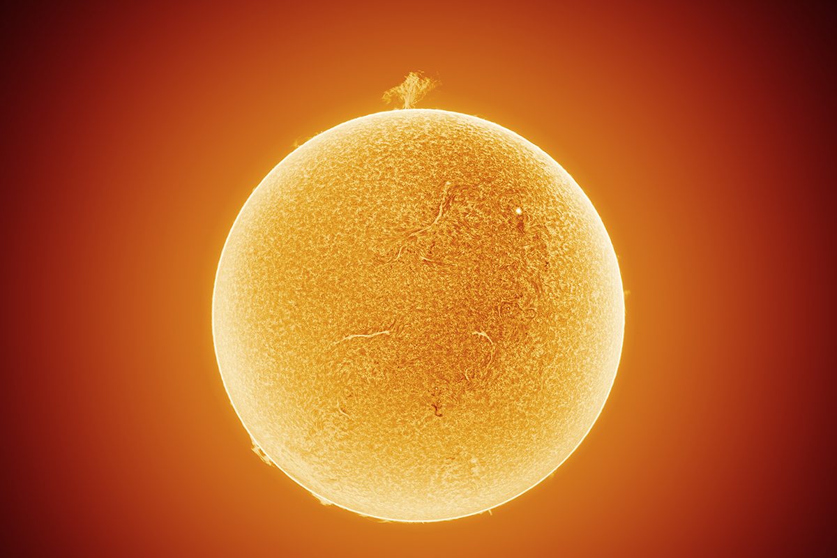 The Savannah Tree © Rafael Schmall (Hungary), Our Sun category. Taken with a Lunt LS100 telescope, Lunt B1800 filter, Fornax 150 mount, ZWO ASI174MM camera, 700 mm f/7, Gain 180, 6-second exposure. Location: Somogy County, Southern Transdanubia, Hungary, 18 February 2026