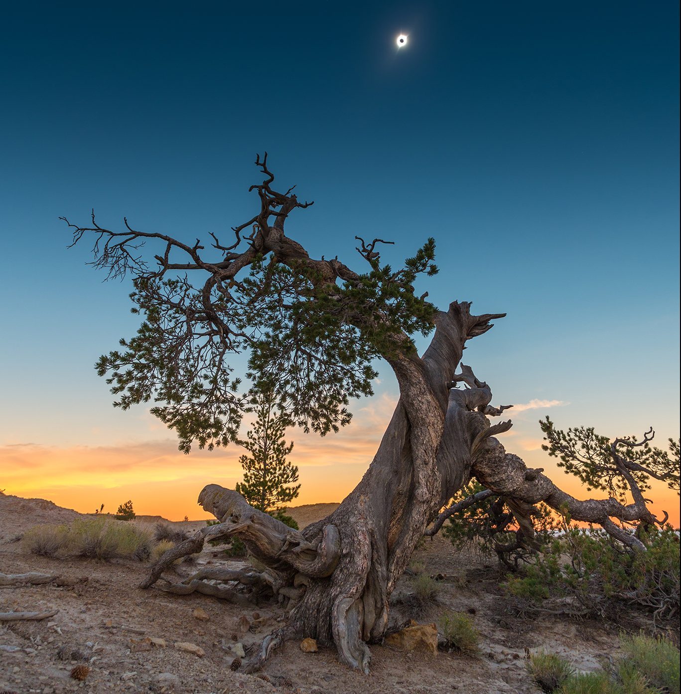 Total solar eclipse at Castle Gardens, Wyoming, USA, 21 August 2017 by Alex Conu