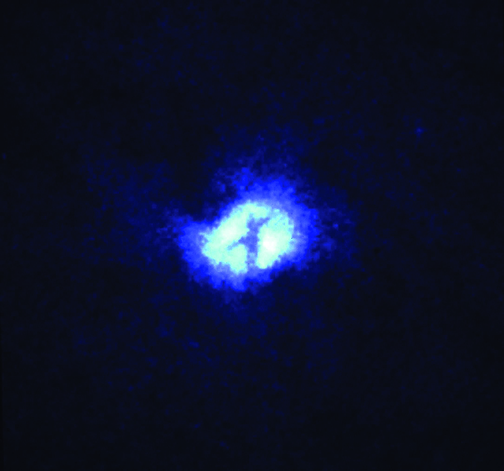8 June 1992 The dark cross across the core of the nearby spiral galaxy M51 is due to dust and marks the position of a black hole. The two arms of the dark X are edge-on dust rings 100 lightyears in diameter.