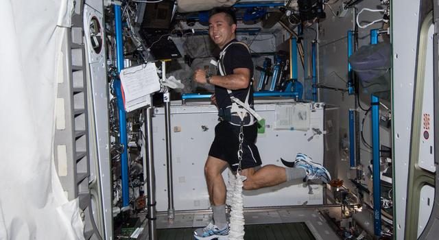 JAXA astronaut Koichi Wakata exercises on the International Space Station's treadmill.