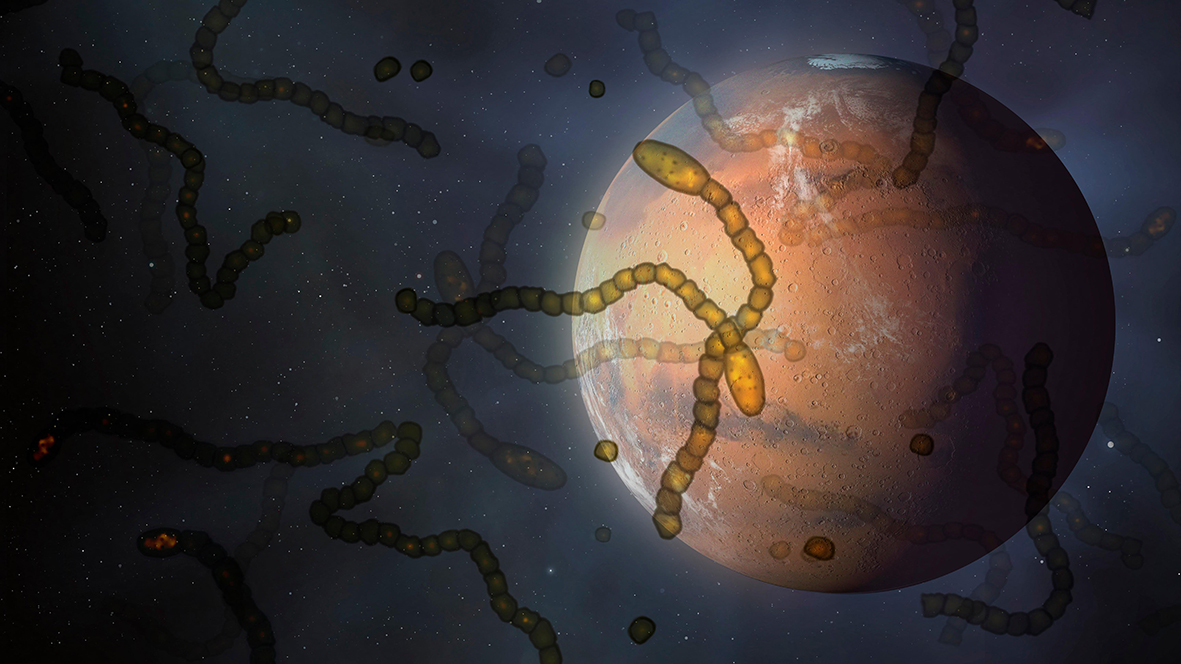 Alien microbes in space above Mars, conceptual illustration.