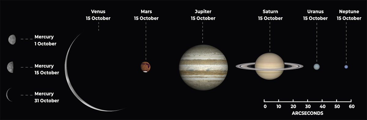 The phase and relative sizes of the planets in October 2026. Each planet is shown&nbsp;with south at the top, to show its orientation through a telescope.