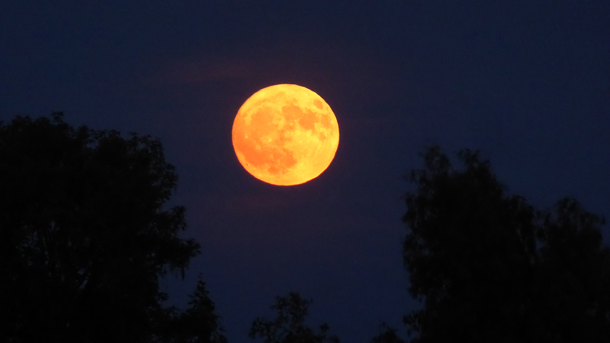 Strawberry Moon captured by James M, Ryetop Park, Rainham, Kent, UK, 10 Jun 2025, 21:52 local time. Equipment: Panasonic Lumix DMC-TZ60. Exposure: f/6.4, 1/6 sec, ISO 800, 30x optical zoom