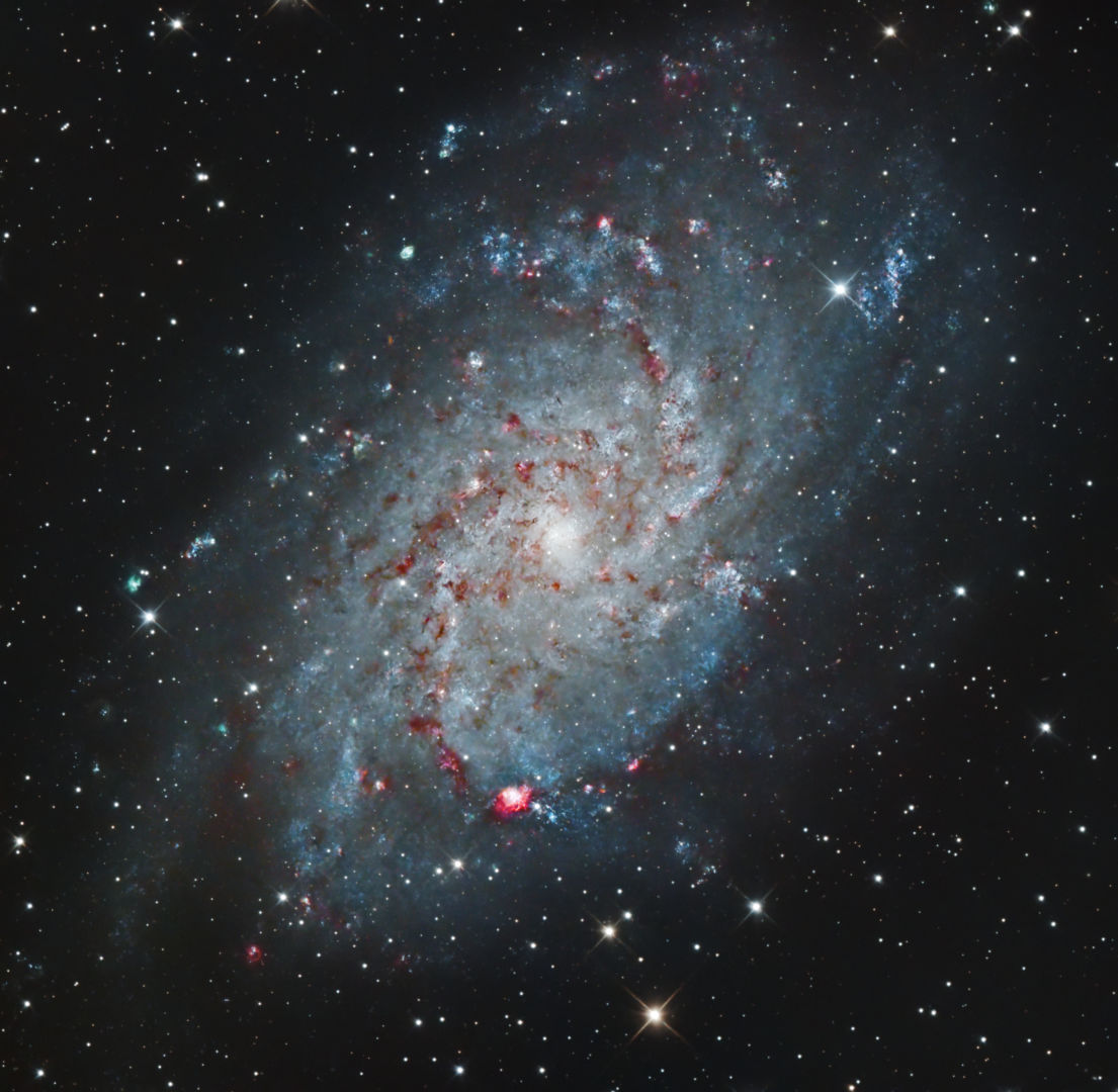 M33, the Triangulum Galaxy Bert Moyaers, Kampenhout, Belgium, 10-11 August 2023 Equipment: ZWO ASI533MC Pro colour CMOS camera, TS-Optics Photon f/5 Newtonian reflector, Explore Scientific EXOS-2 PMC-Eight mount
