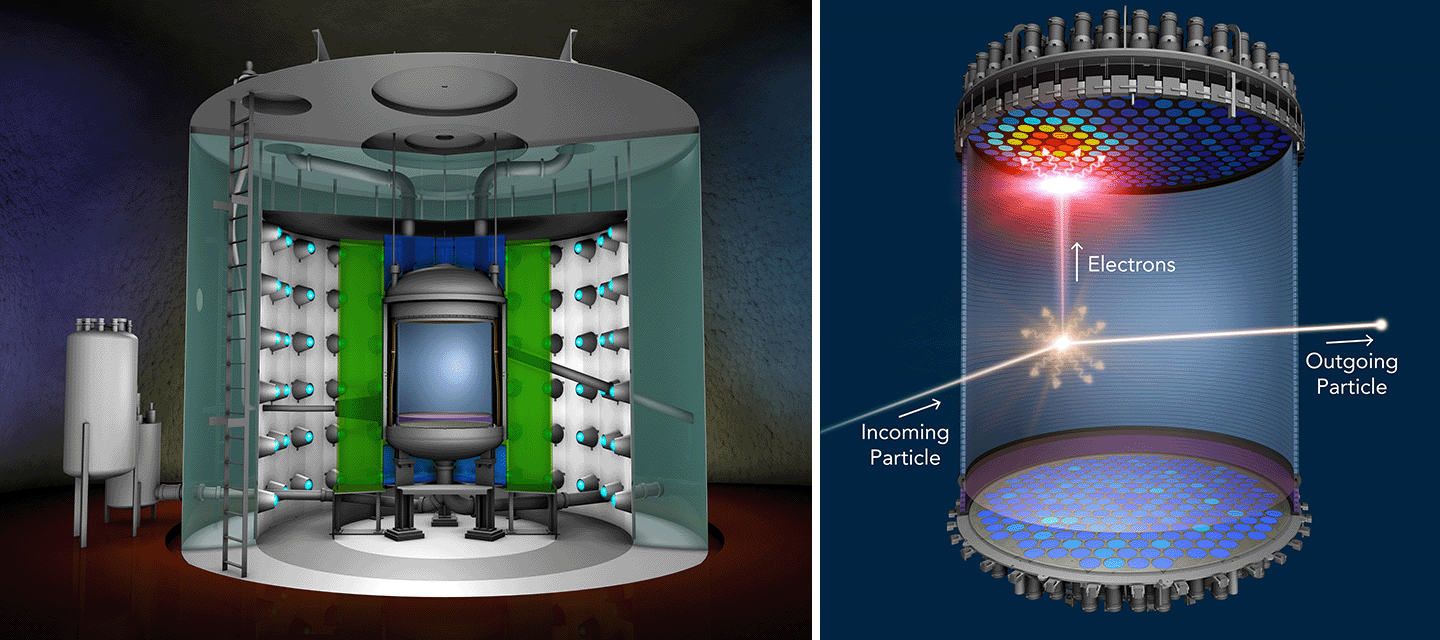 When a WIMP collides with a xenon atom, the xenon atom emits a flash of light and electrons. The light is detected at the top and bottom of the liquid xenon chamber. An electric field drifts the electrons to the top of the chamber, where they generate a second flash of light. Credit: Greg Stewart, SLAC National Accelerator Laboratory