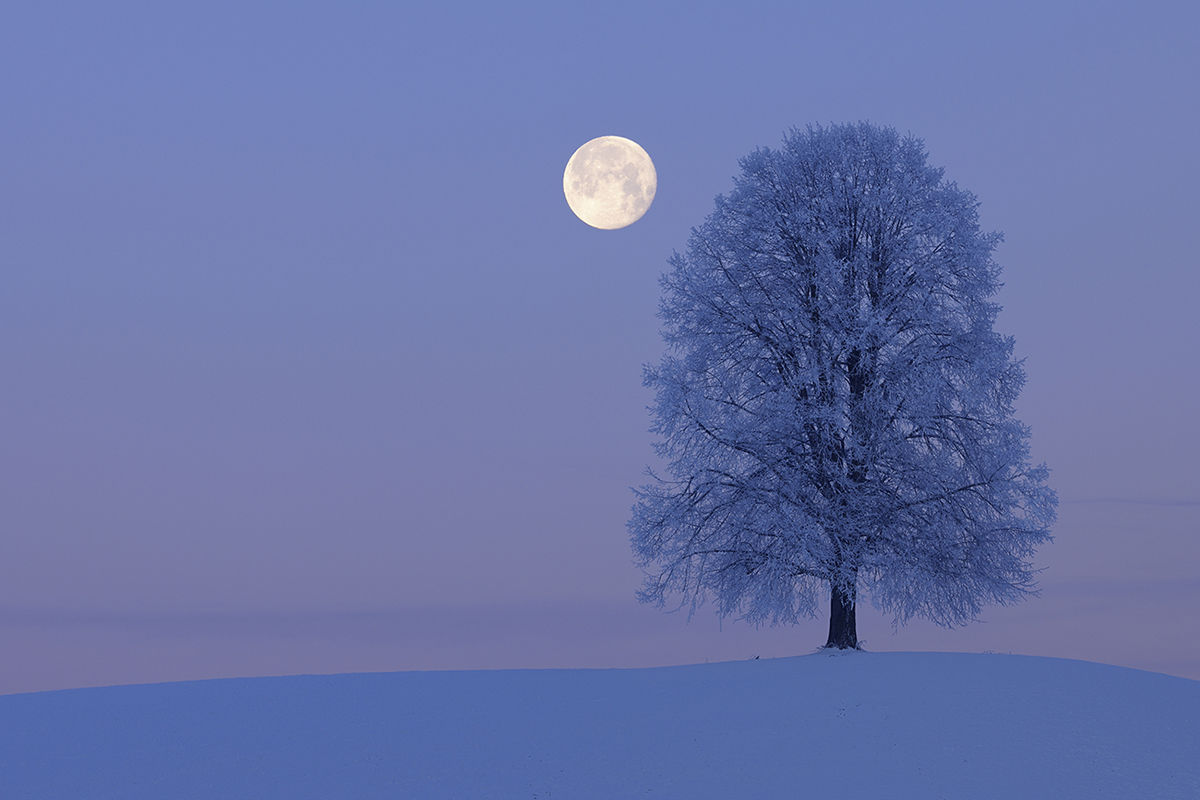 How to see the December Cold Moon. Credit: Martin Ruegner / Getty Images