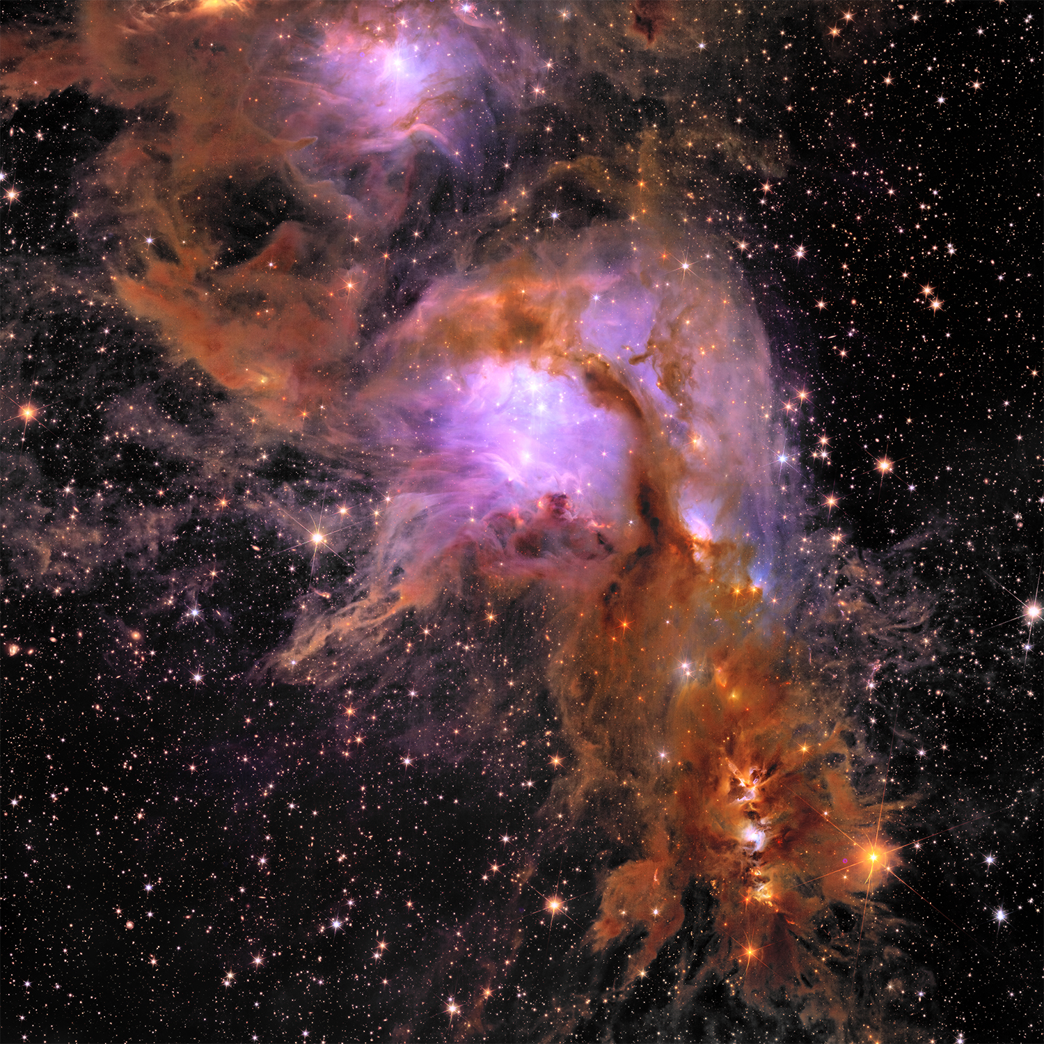 Euclid spacecraft image of Messier 78, a star-forming region 1,300 lightyears away in the constellation Orion. Credit: ESA/Euclid/Euclid Consortium/NASA, image processing by J.-C. Cuillandre (CEA Paris-Saclay), G. Anselmi; CC BY-SA 3.0 IGO or ESA Standard Licence.