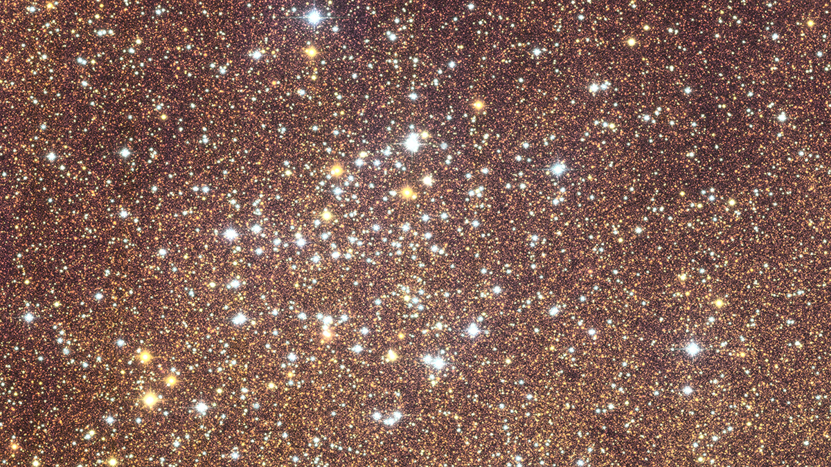 Open star cluster NGC 6451, seen by the Euclid space telescope as part of its observations of the galactic bulge, the centre of the Milky Way. Credit: ESA/Euclid/Euclid Consortium/NASA, CFHT, image processing by J.-C. Cuillandre and E. Bertin (CEA Paris-Saclay)