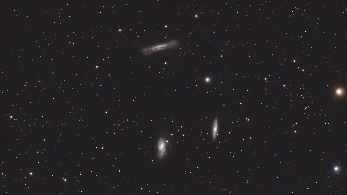dwarflab mini leo triplet