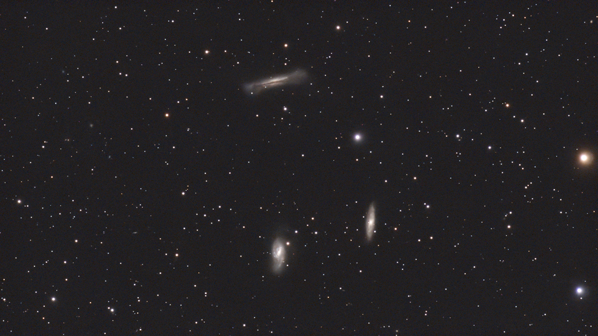 dwarflab mini leo triplet