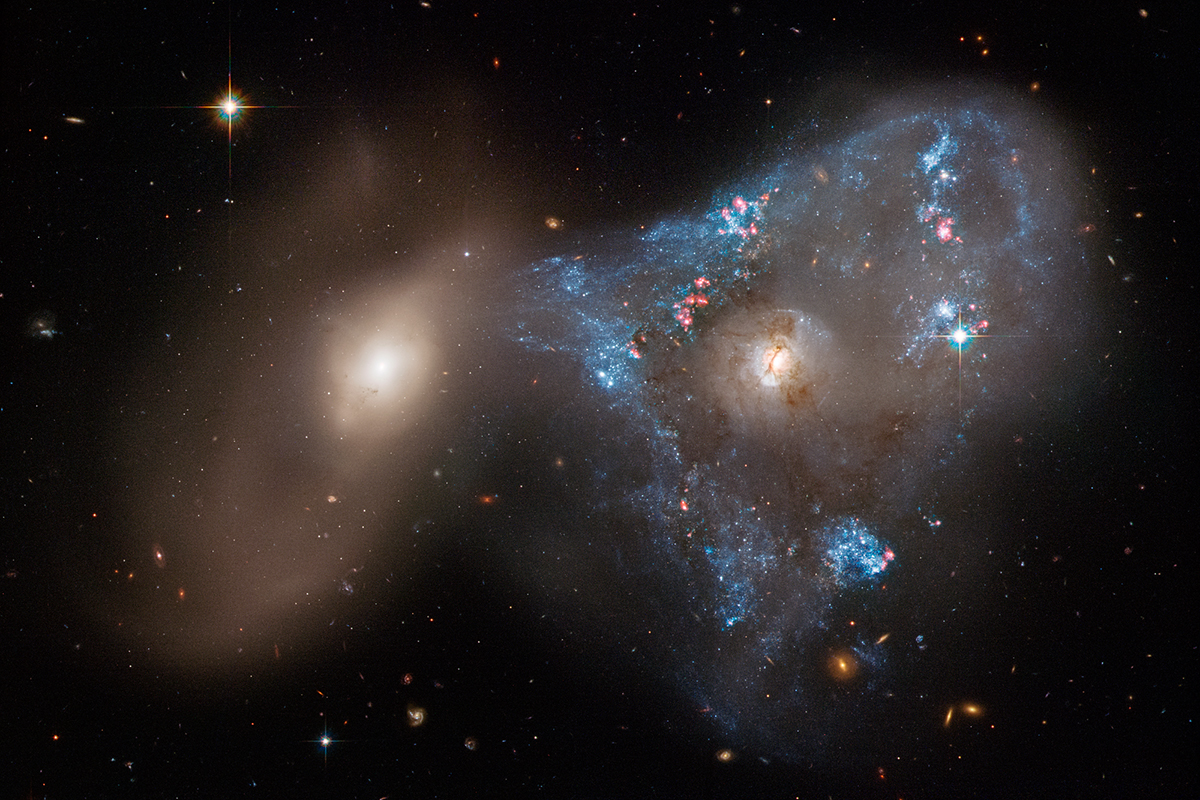 Two distant galaxies colliding, consisting of NGC 2445 at right, NGC 2444 at left. Credit: NASA, ESA, STScI, Julianne Dalcanton (Center for Computational Astrophysics / Flatiron Inst. and University of Washington); Image Processing: Joseph DePasquale (STScI)