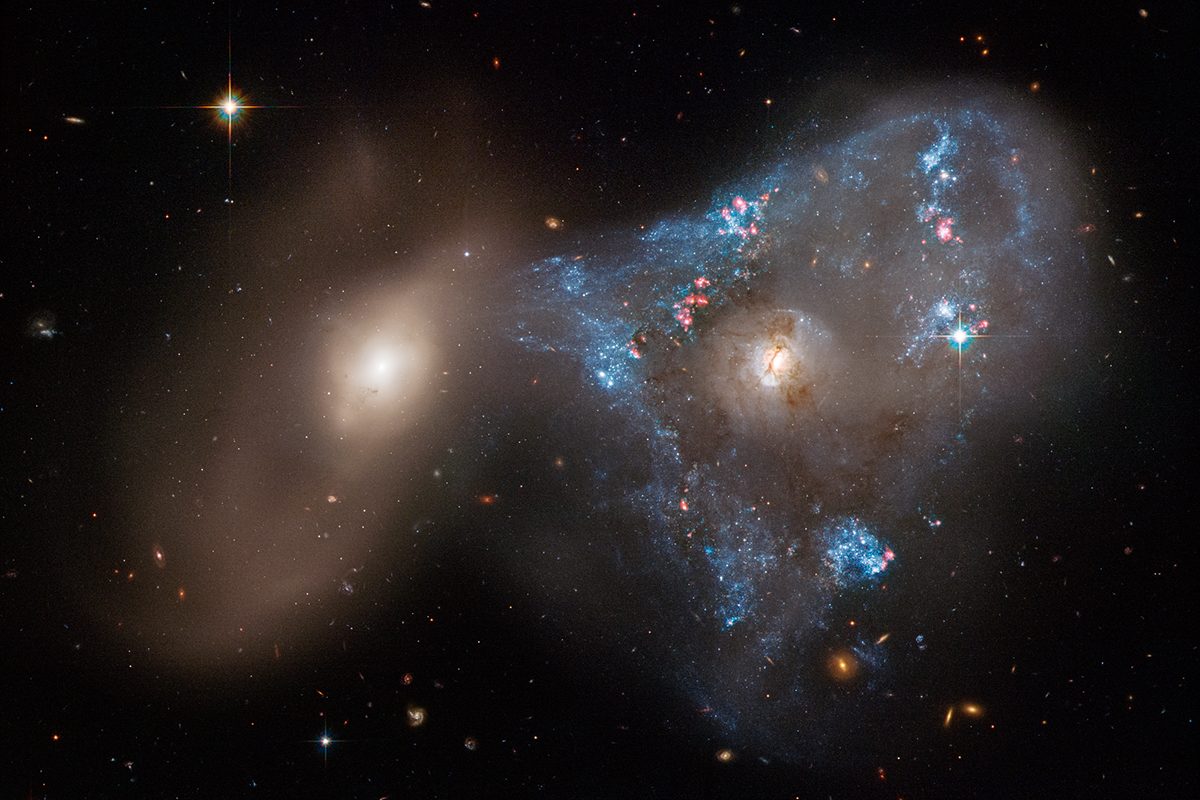 Two distant galaxies colliding, consisting of NGC 2445 at right, NGC 2444 at left. Credit: NASA, ESA, STScI, Julianne Dalcanton (Center for Computational Astrophysics / Flatiron Inst. and University of Washington); Image Processing: Joseph DePasquale (STScI)