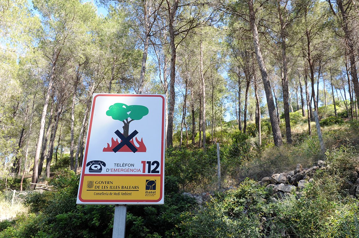 Eclipse-chasers are asked to avoid the Balearics' wooded areas to help prevent forest fires. Credit: Sascha Baumann / Stringer / Getty Images