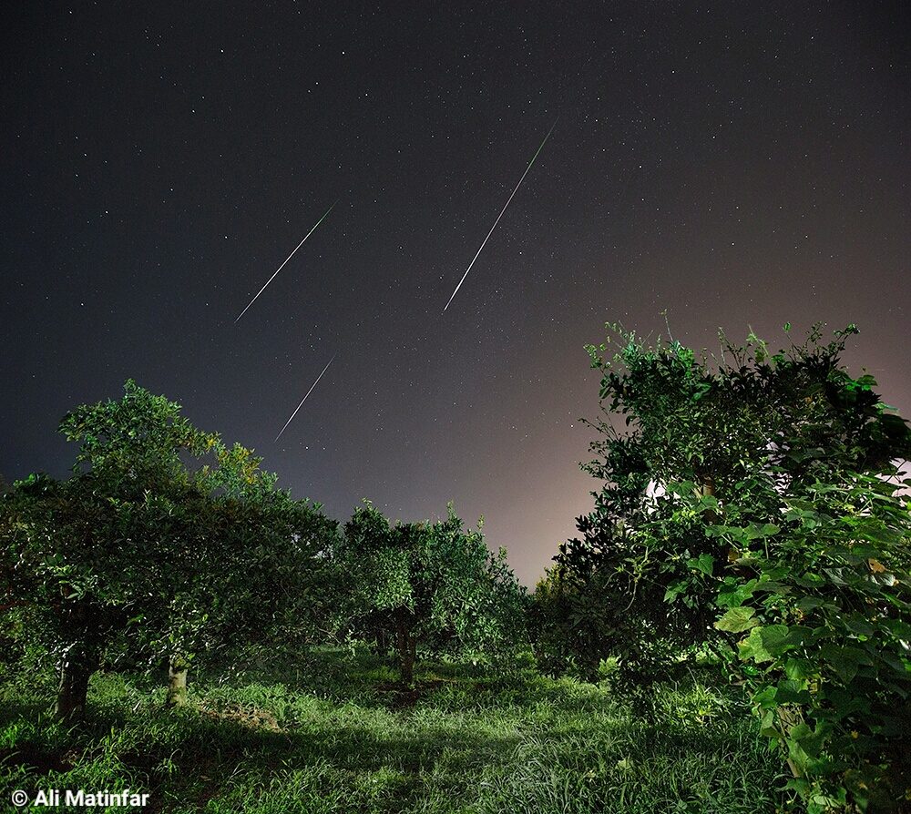 Perseids 2016 by Ali Matinfar, Ramsar, Iran. Equipment: Canon6D.