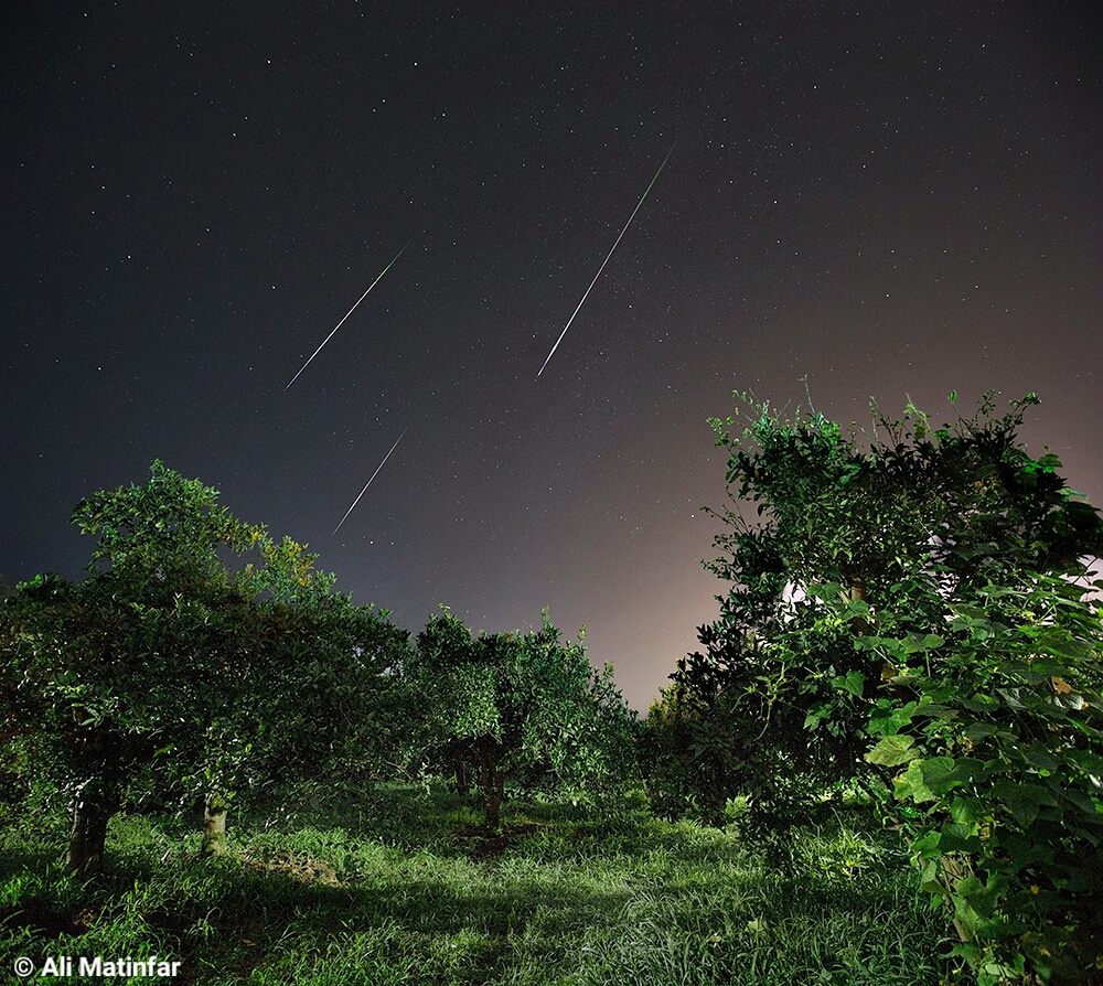 Perseids_020 Perseids 2016 by Ali Matinfar, Ramsar, Iran. Equipment: Canon6D.
