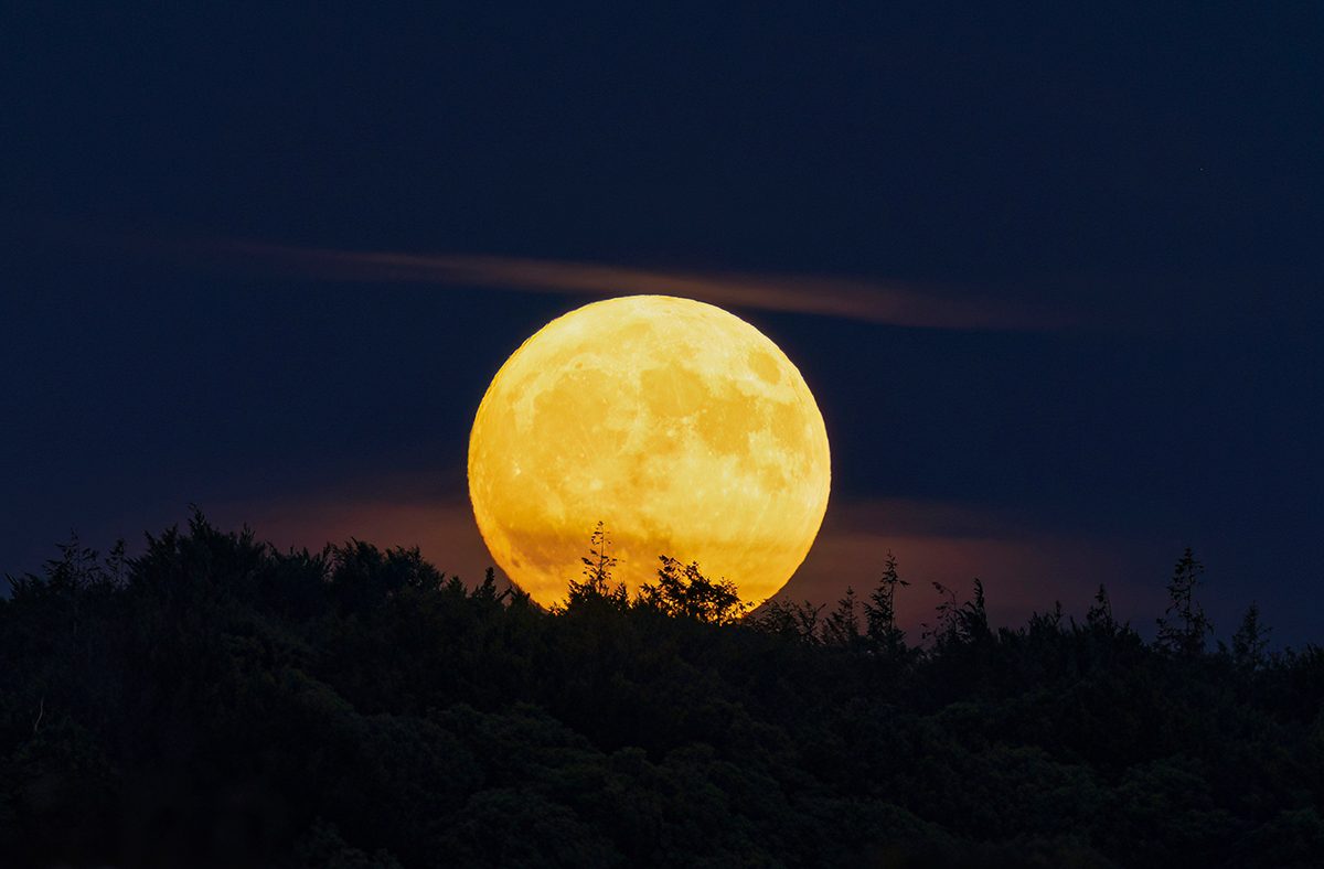 Strawberry Moon captured by Mike Read, Longleat Forest, Wiltshire, UK, 10 June 2025. Find a clear horizon to make the most of the Strawberry Moon