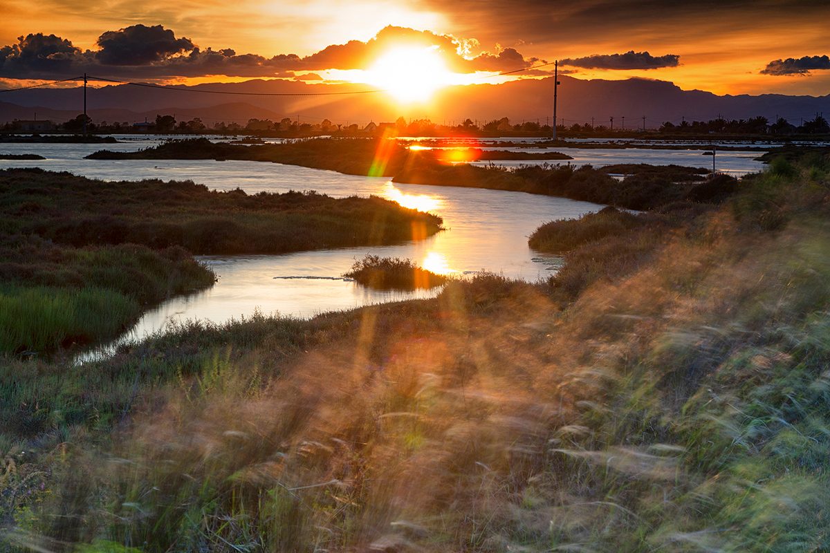 Tancada lagoon at sunset, Ebro Delta, Tarragona, Spain. Credit: Westend61 / Getty Images